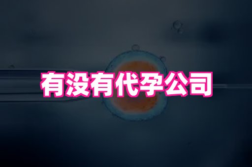 河南助孕网站 4